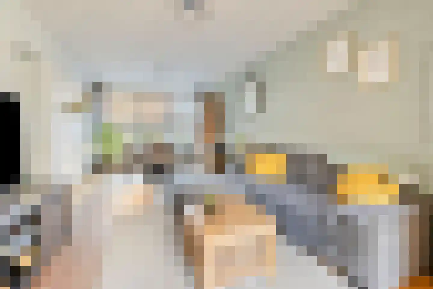 Drossard Meijerstraat 33 Gemert thumbnail 4