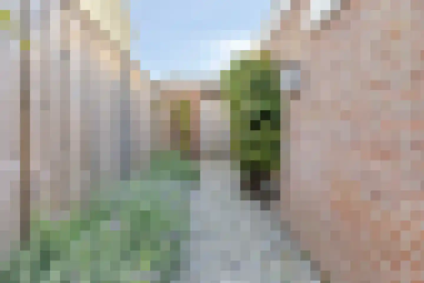 Drossard Meijerstraat 33 Gemert thumbnail 41