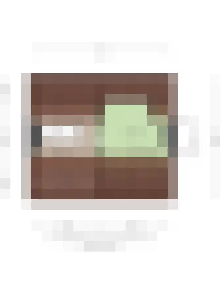 Drossard Meijerstraat 51 Gemert thumbnail 39