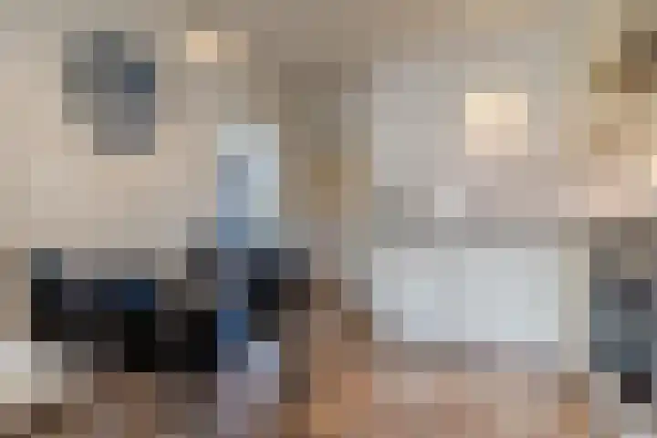 Drossard Meijerstraat 84 Gemert thumbnail 4