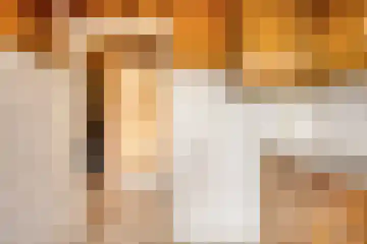 Drossenkampplein 17 Epe thumbnail 11