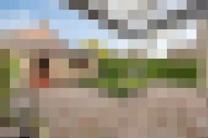 Drossenkampplein 17 Epe thumbnail 24