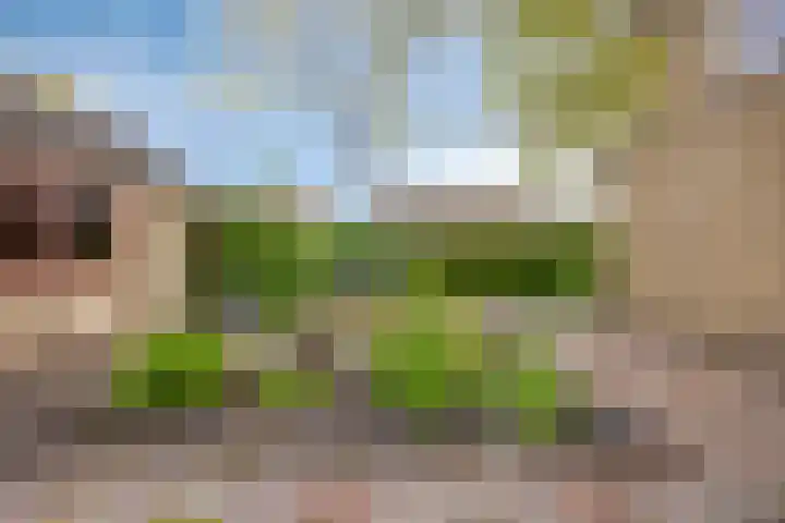 Drossenkampplein 17 Epe thumbnail 25