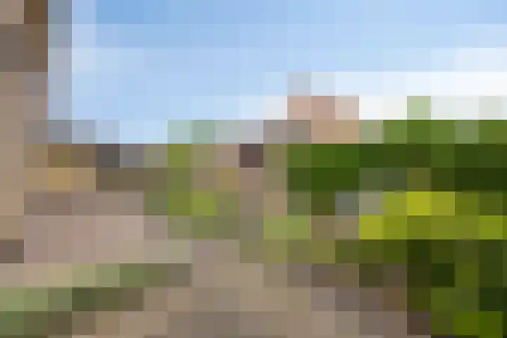 Drossenkampplein 17 Epe thumbnail 26