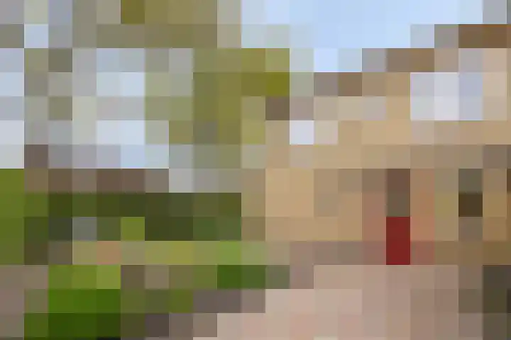 Drossenkampplein 17 Epe thumbnail 27