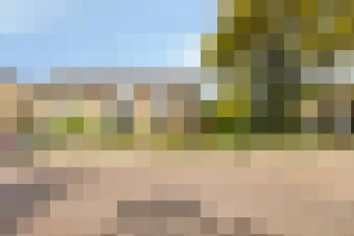 Drossenkampplein 17 Epe thumbnail 29