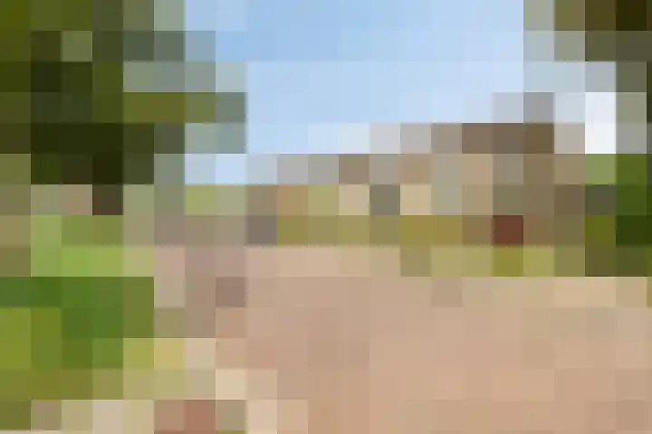 Drossenkampplein 17 Epe thumbnail 30