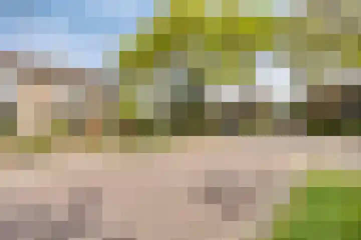Drossenkampplein 17 Epe thumbnail 31