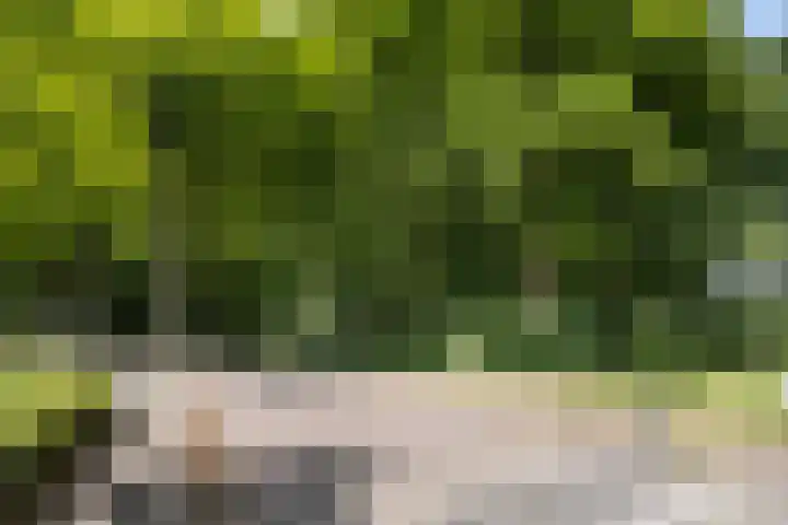 Drossenkampplein 17 Epe thumbnail 32