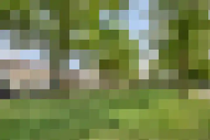 Drossenkampplein 17 Epe thumbnail 33