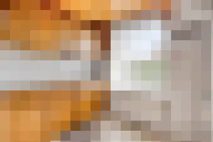Drossenkampplein 17 Epe thumbnail 9