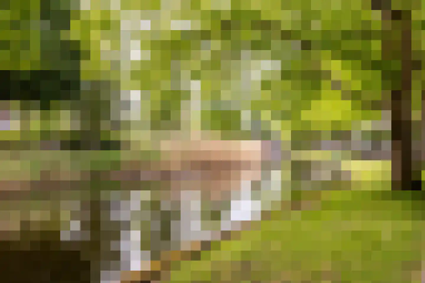 Drost IJsermansingel 5 Moordrecht thumbnail 42