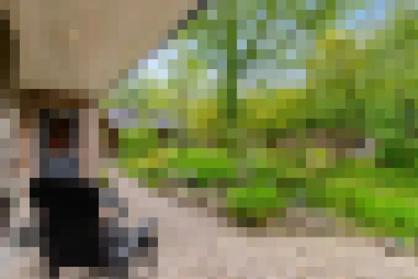 Drosten 4 Vries thumbnail 10
