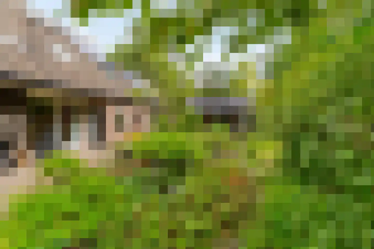 Drosten 4 Vries thumbnail 11