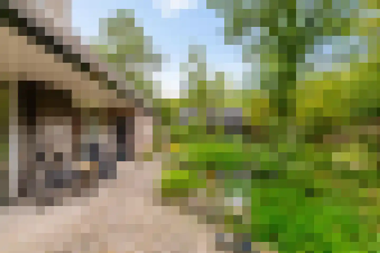 Drosten 4 Vries thumbnail 12
