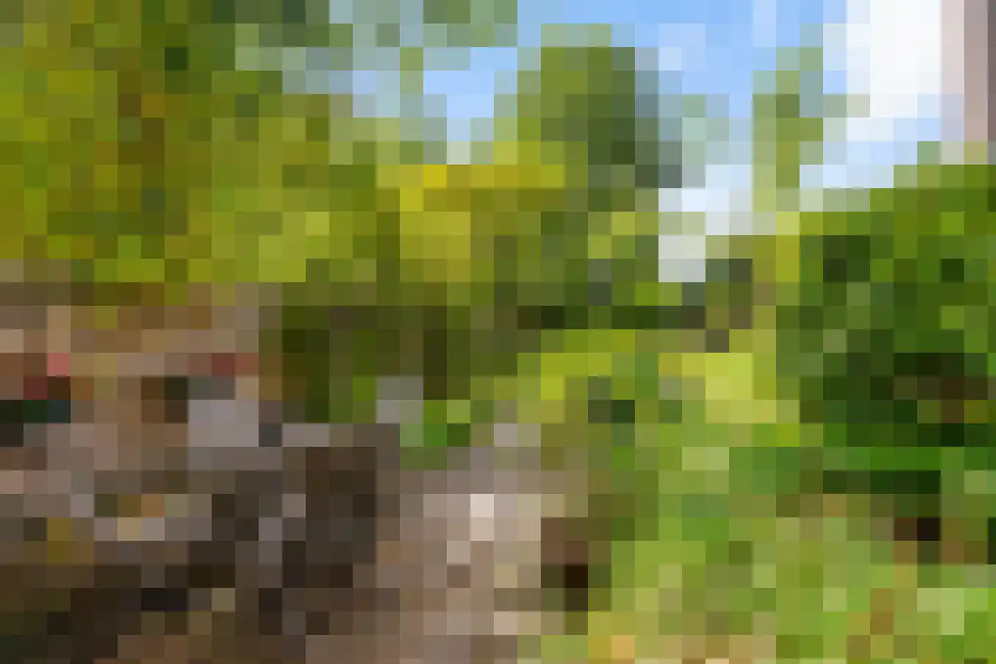 Drosten 4 Vries thumbnail 15