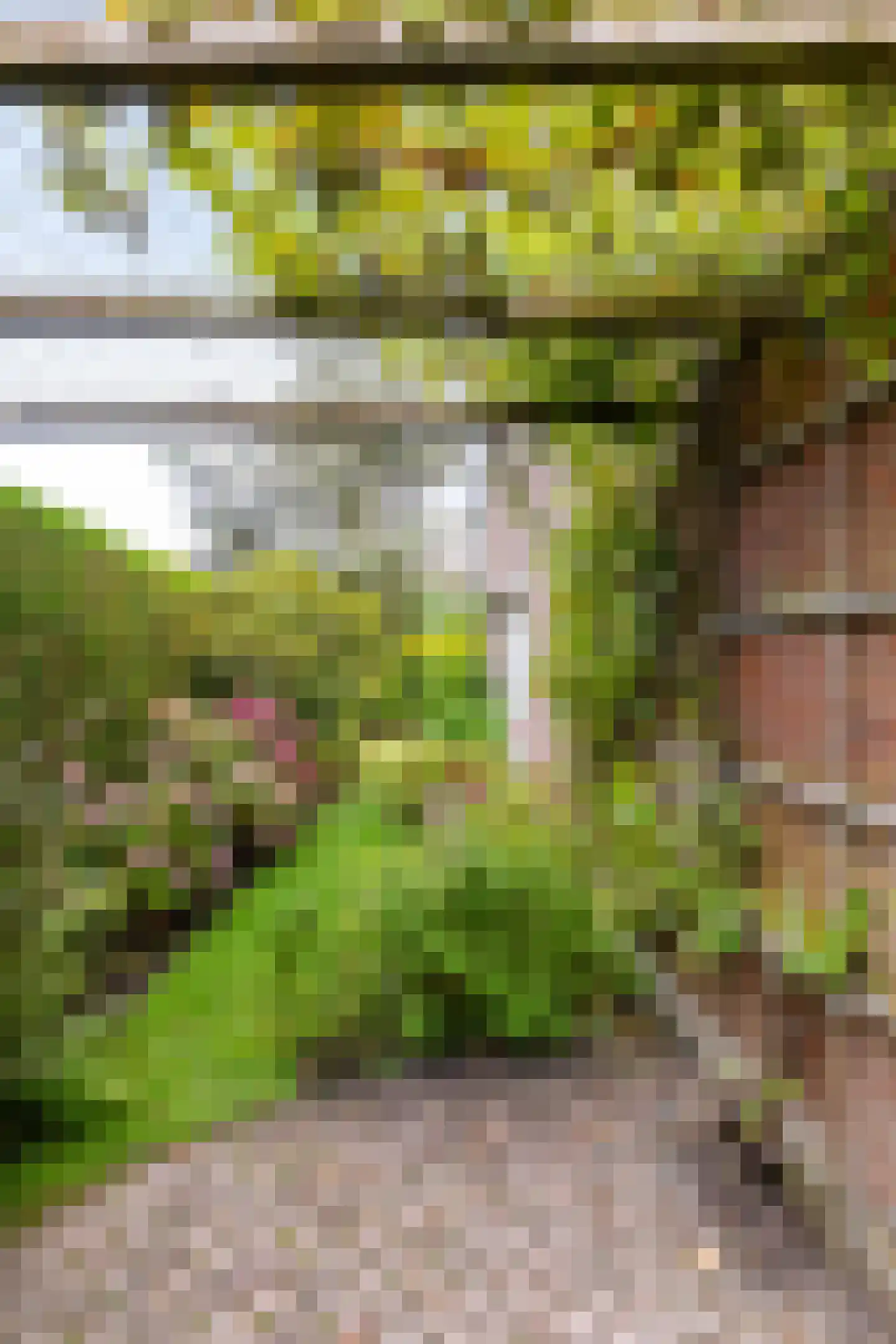 Drosten 4 Vries thumbnail 16
