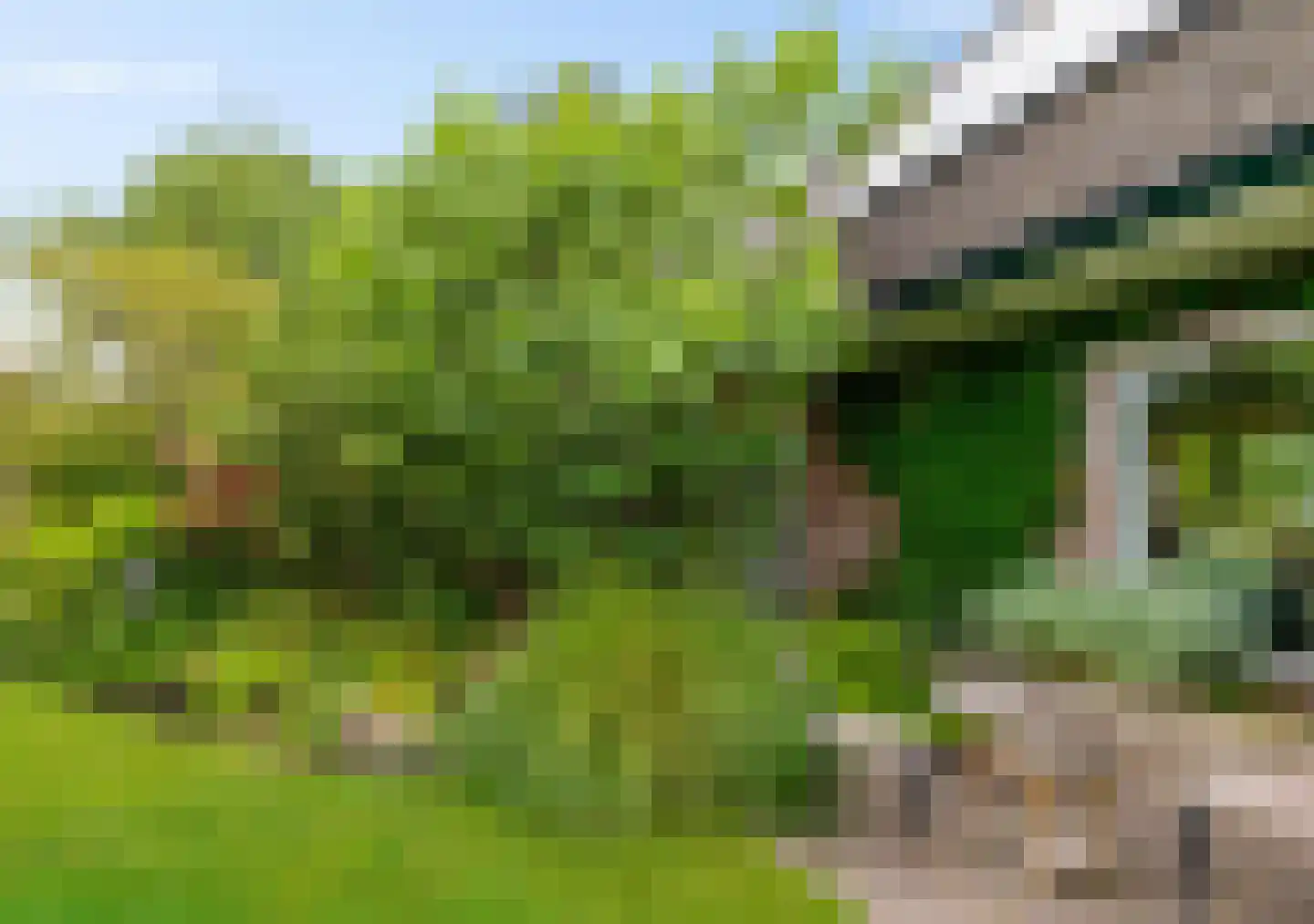 Drosten 4 Vries thumbnail 17