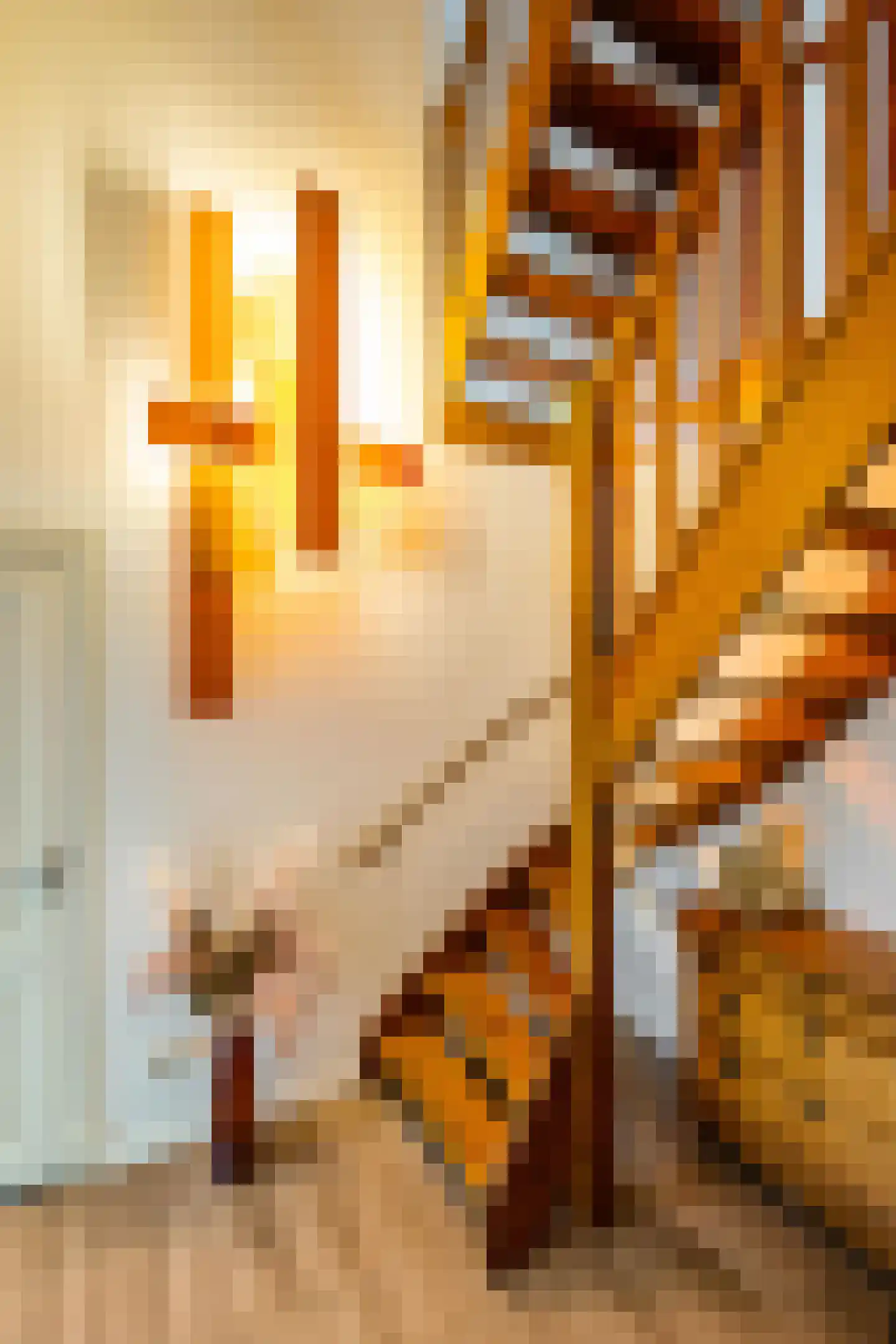 Drosten 4 Vries thumbnail 20