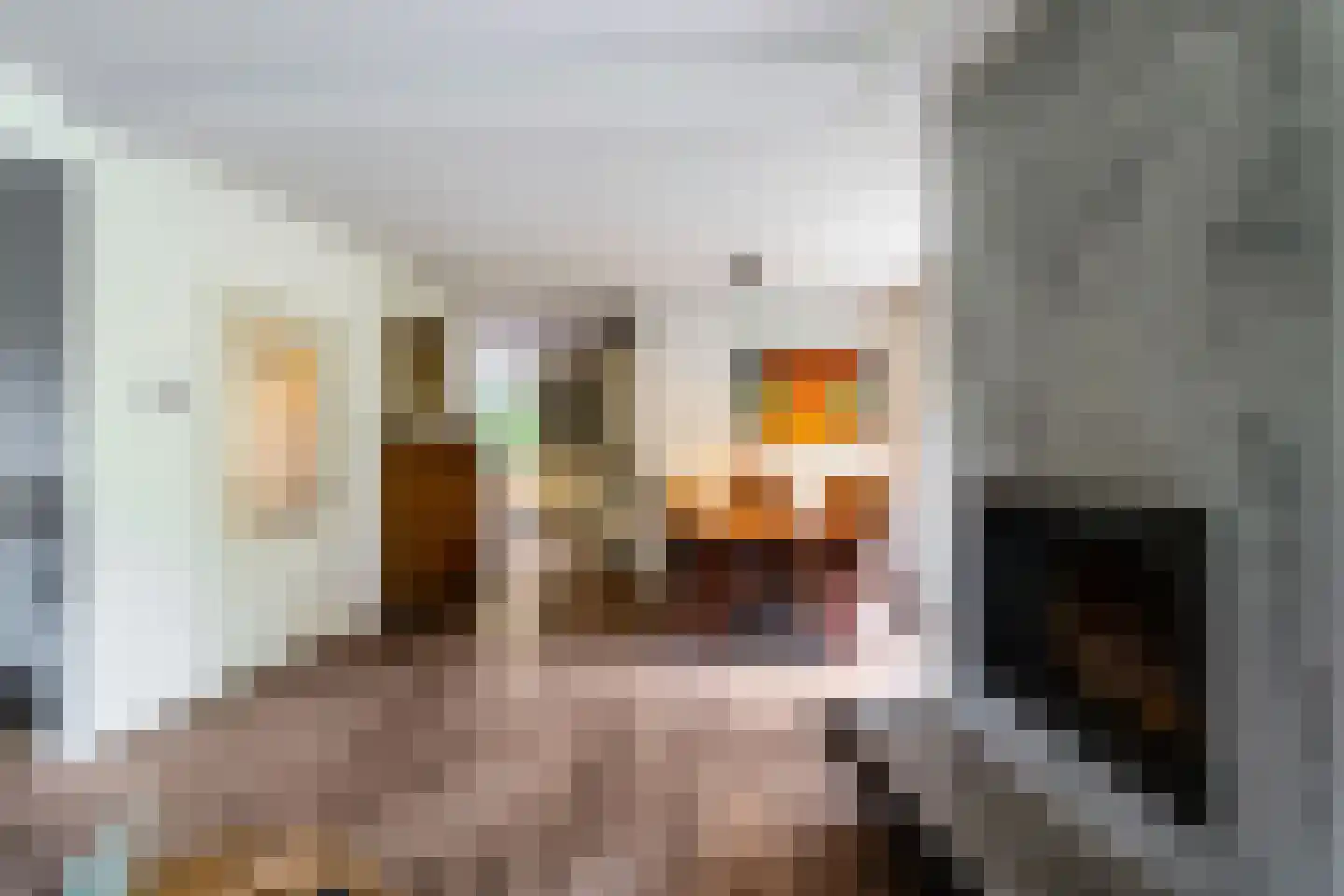 Drosten 4 Vries thumbnail 23