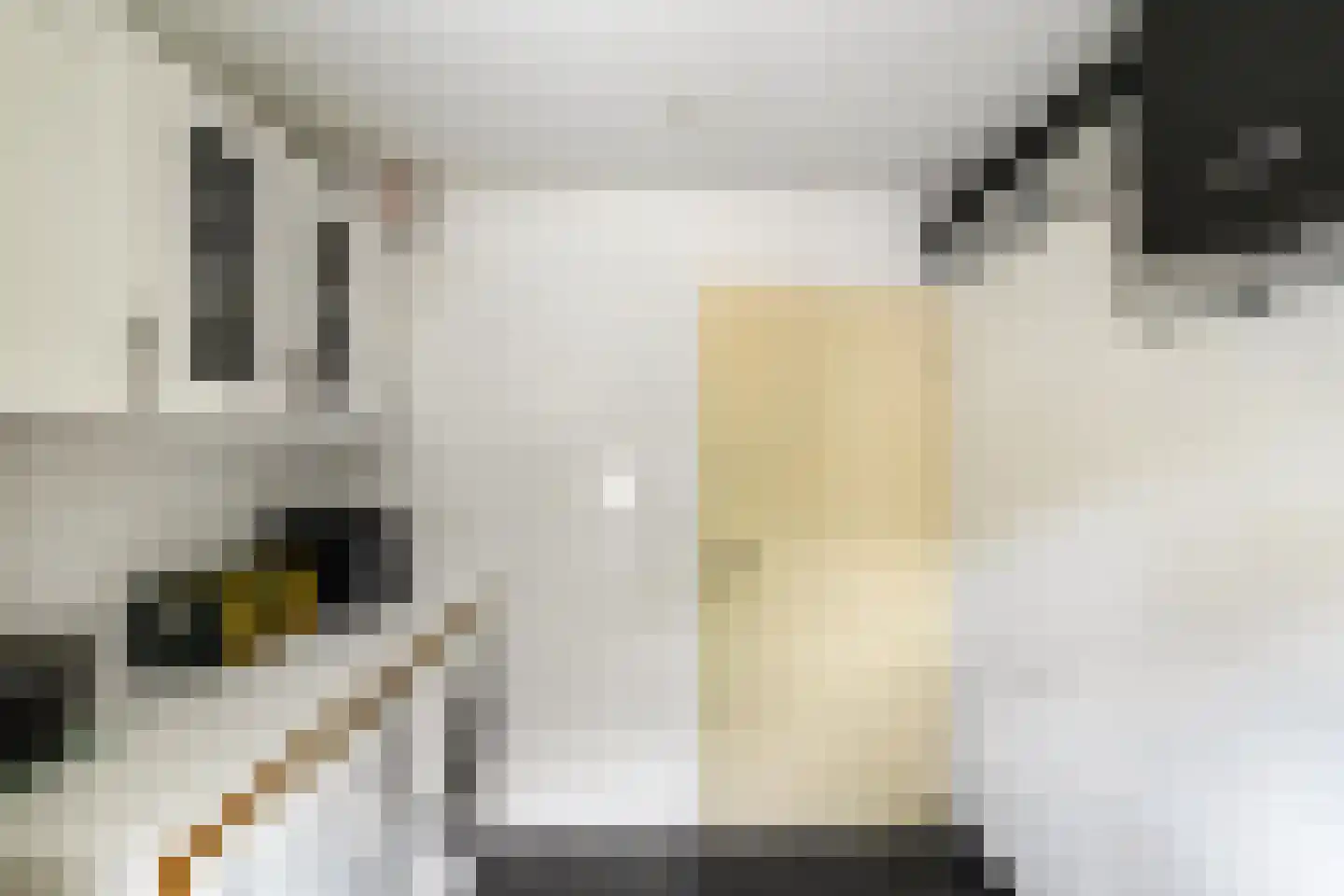 Drosten 4 Vries thumbnail 27