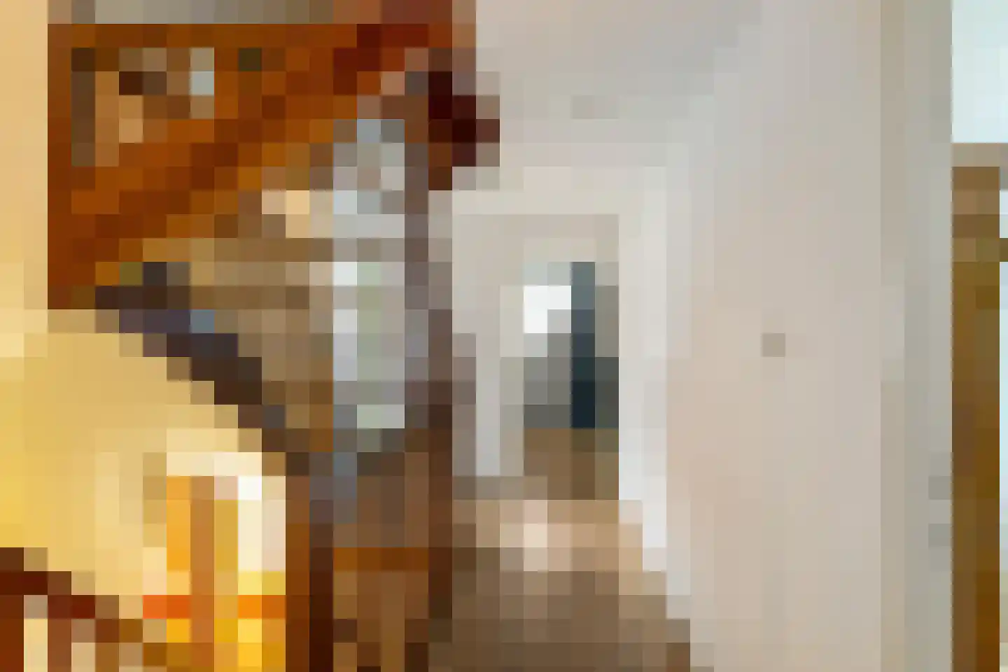 Drosten 4 Vries thumbnail 30
