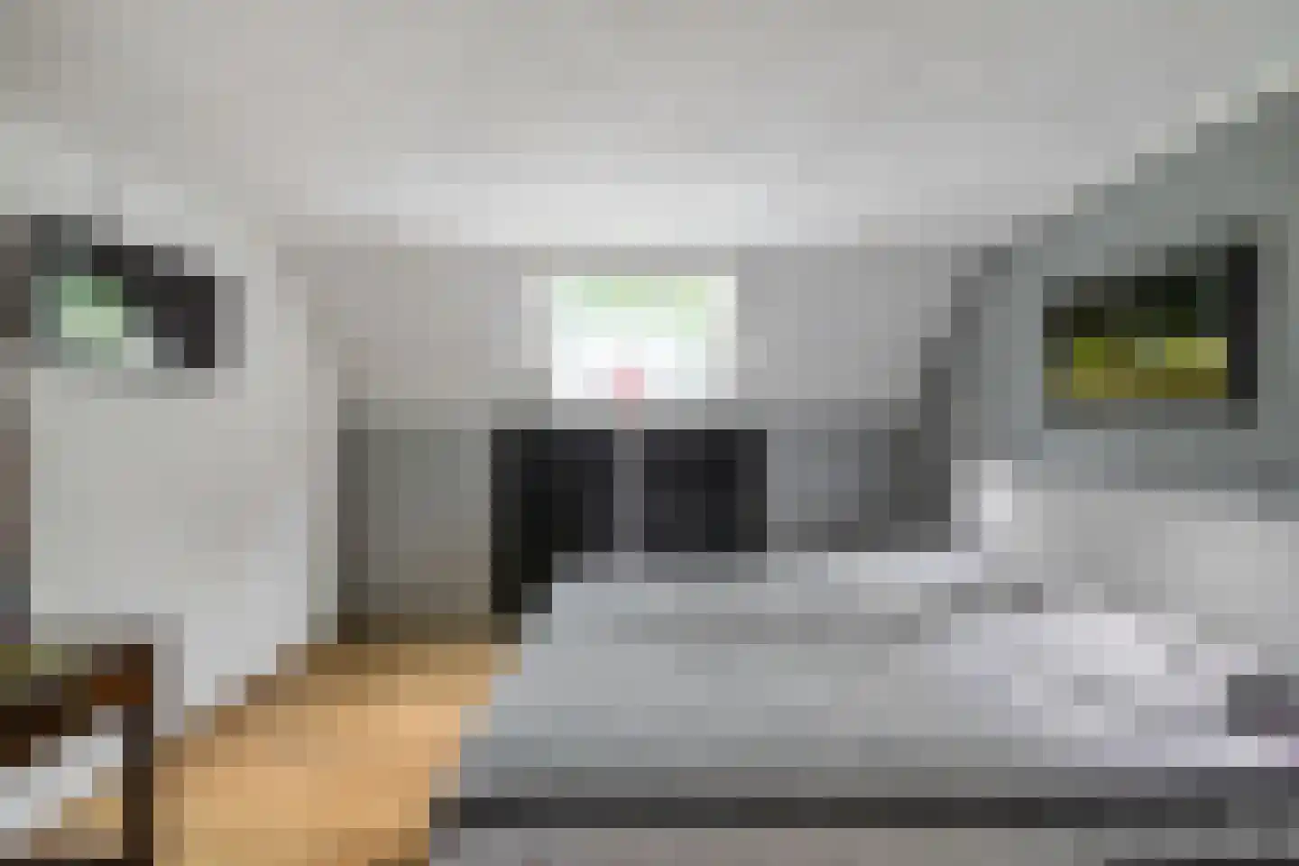 Drosten 4 Vries thumbnail 33