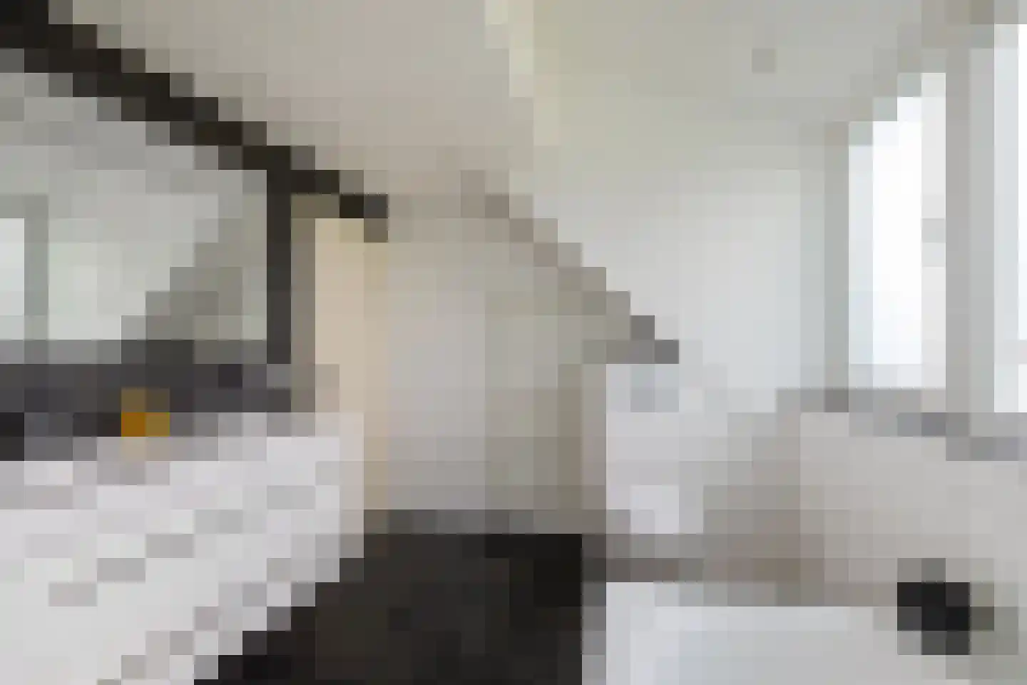 Drosten 4 Vries thumbnail 36