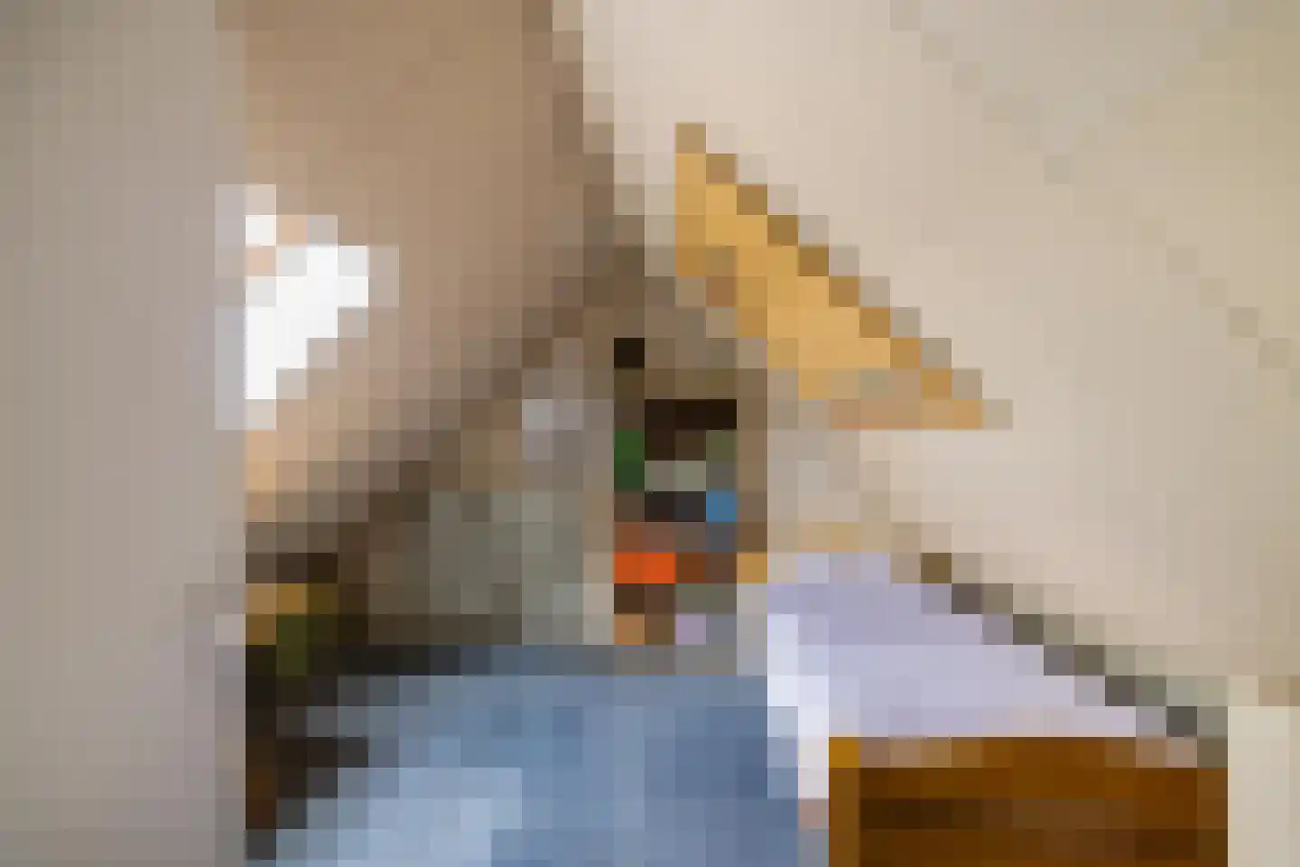 Drosten 4 Vries thumbnail 38