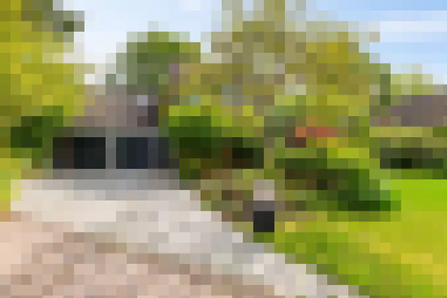 Drosten 4 Vries thumbnail 4