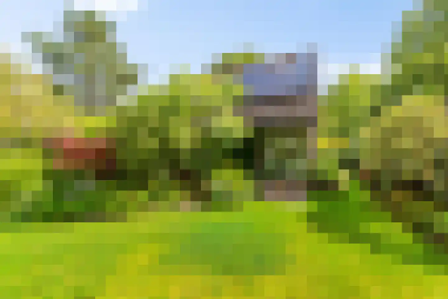 Drosten 4 Vries thumbnail 5