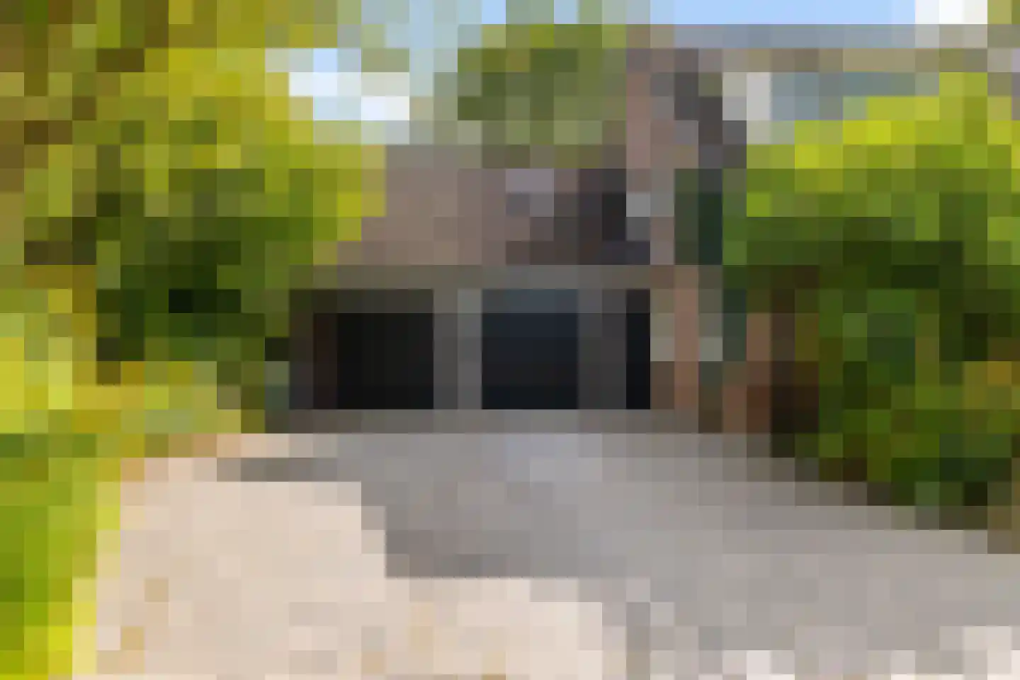 Drosten 4 Vries thumbnail 6