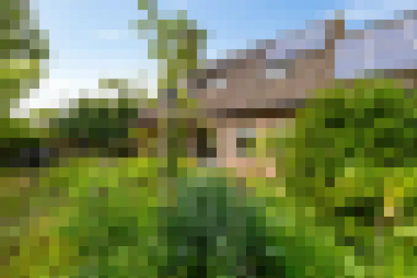 Drosten 4 Vries thumbnail 7