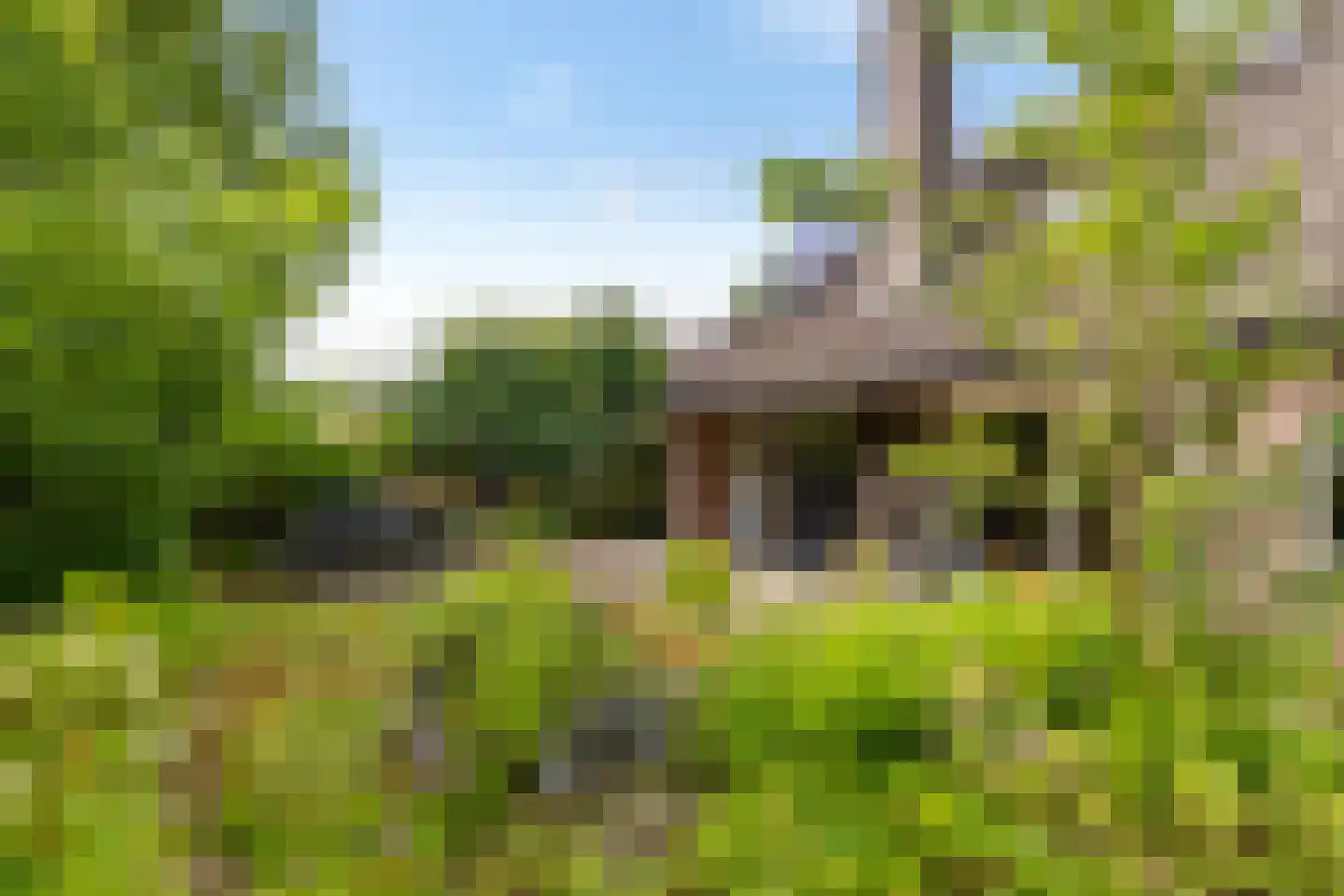 Drosten 4 Vries thumbnail 8