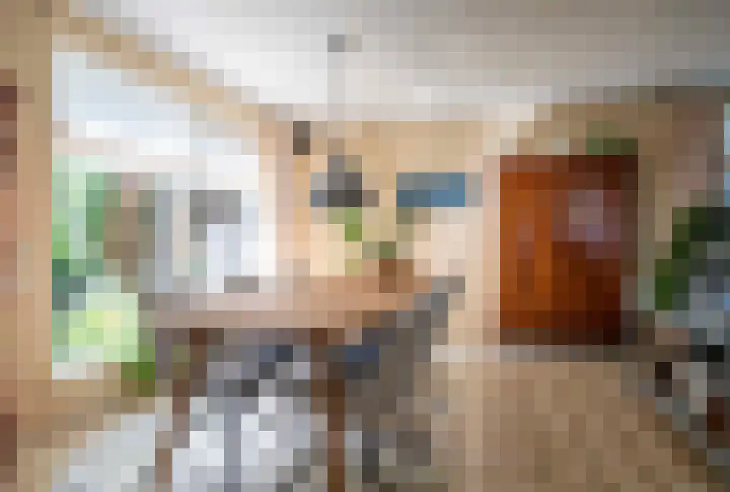 Drostenbos 3 Vollenhove thumbnail 13