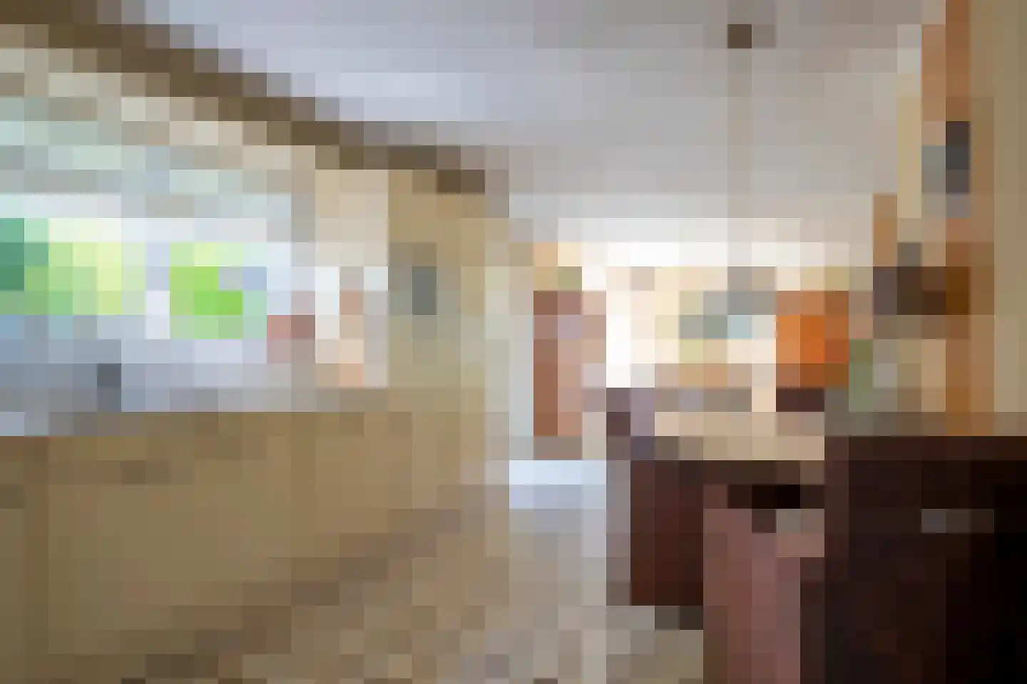 Drostenbos 3 Vollenhove thumbnail 15
