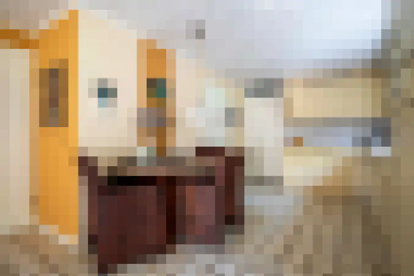 Drostenbos 3 Vollenhove thumbnail 17