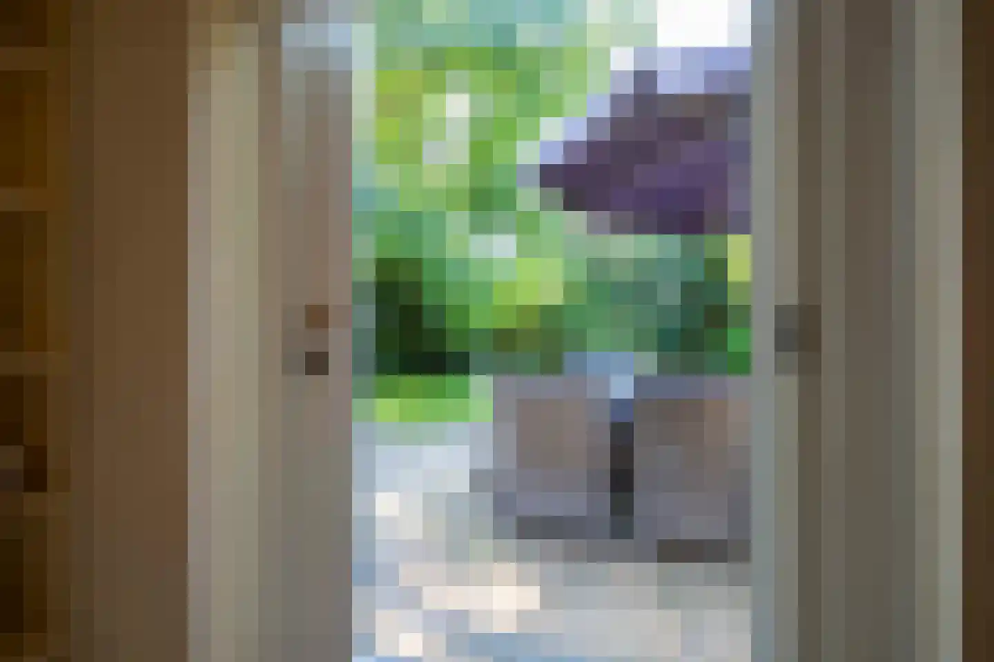 Drostenbos 3 Vollenhove thumbnail 18