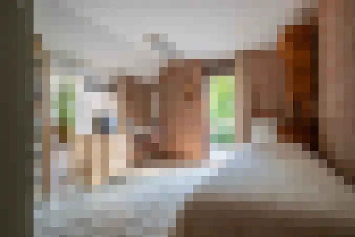 Drostenbos 3 Vollenhove thumbnail 19