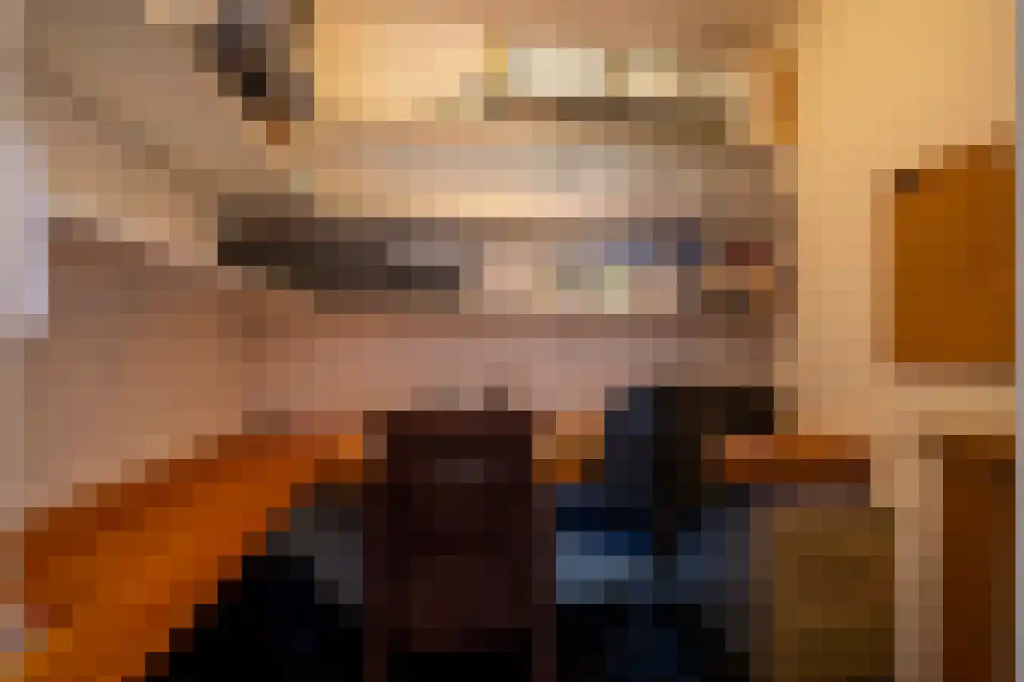 Drostenbos 3 Vollenhove thumbnail 20