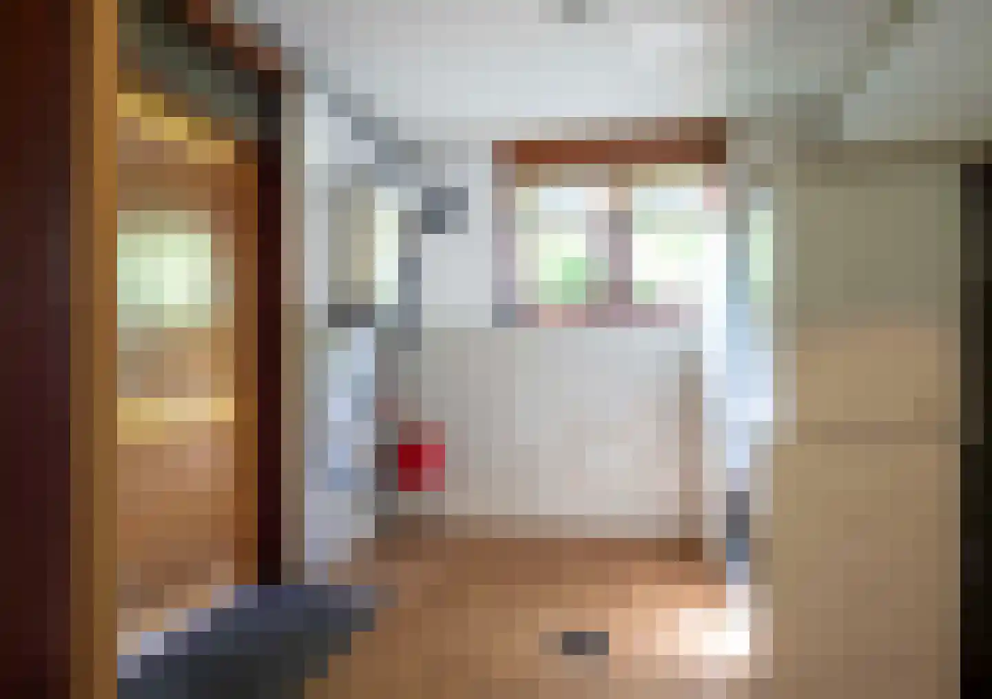 Drostenbos 3 Vollenhove thumbnail 21