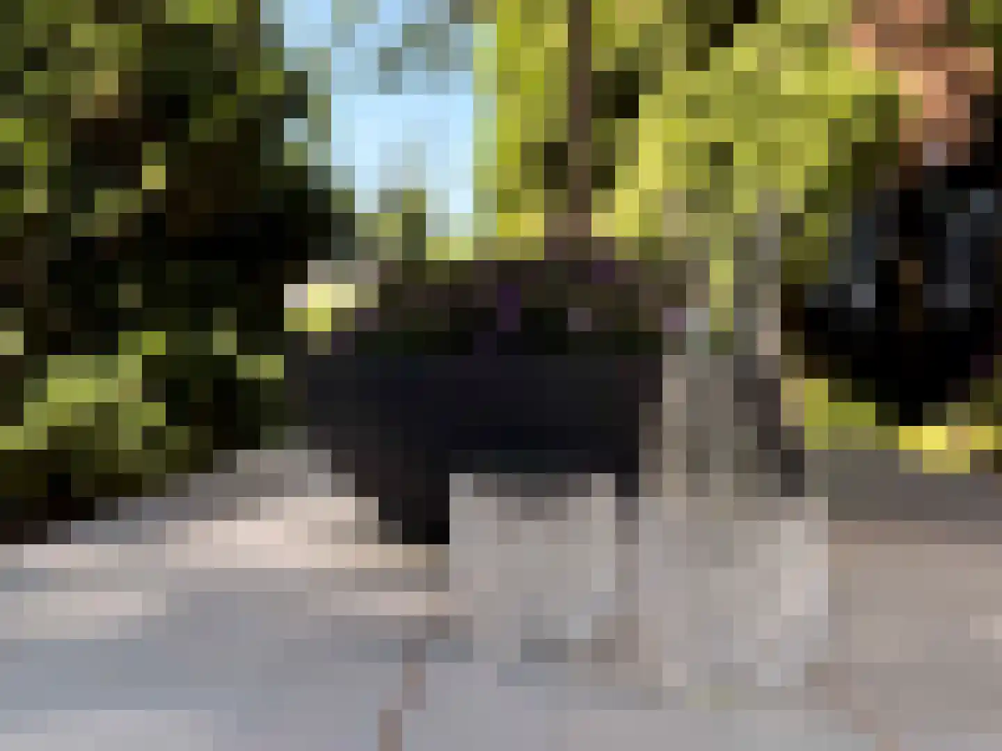 Drostenbos 3 Vollenhove thumbnail 24