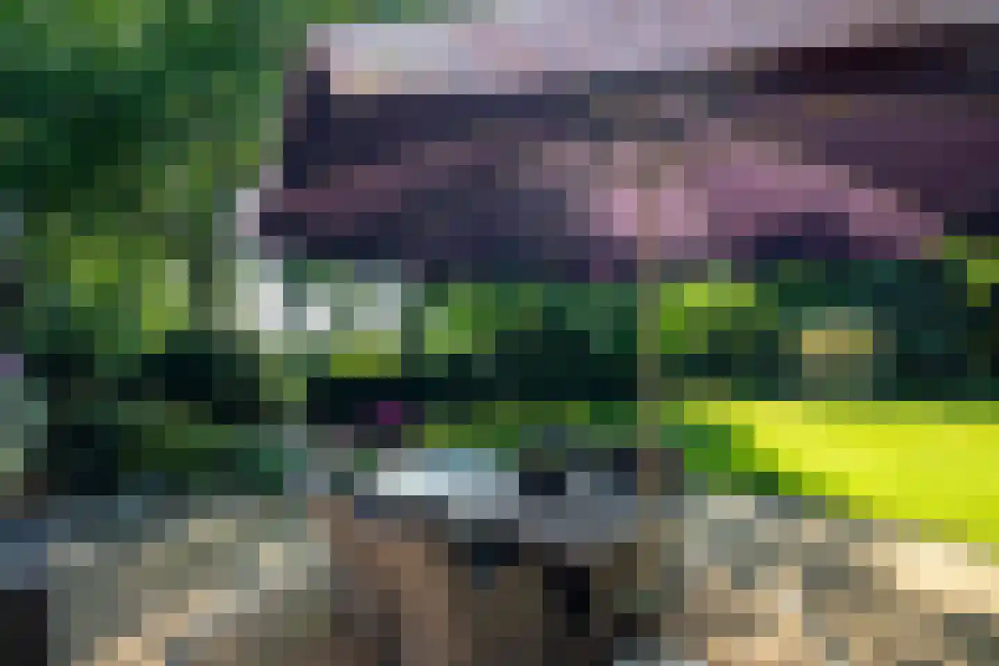 Drostenbos 3 Vollenhove thumbnail 25