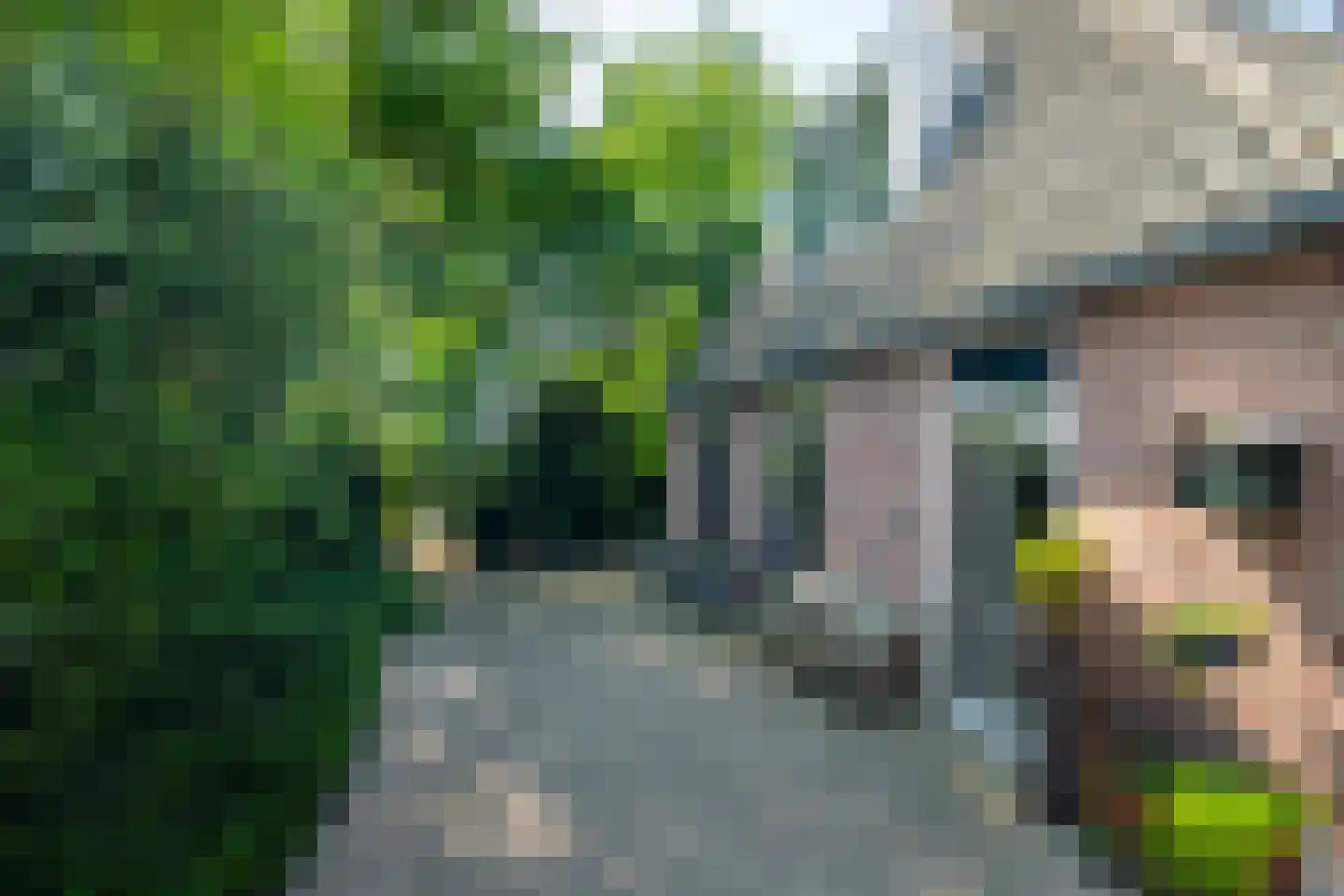 Drostenbos 3 Vollenhove thumbnail 27