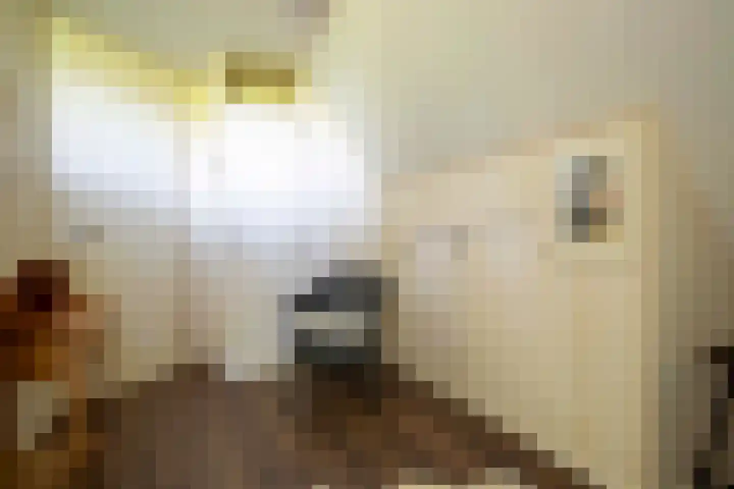 Drostenbos 3 Vollenhove thumbnail 33