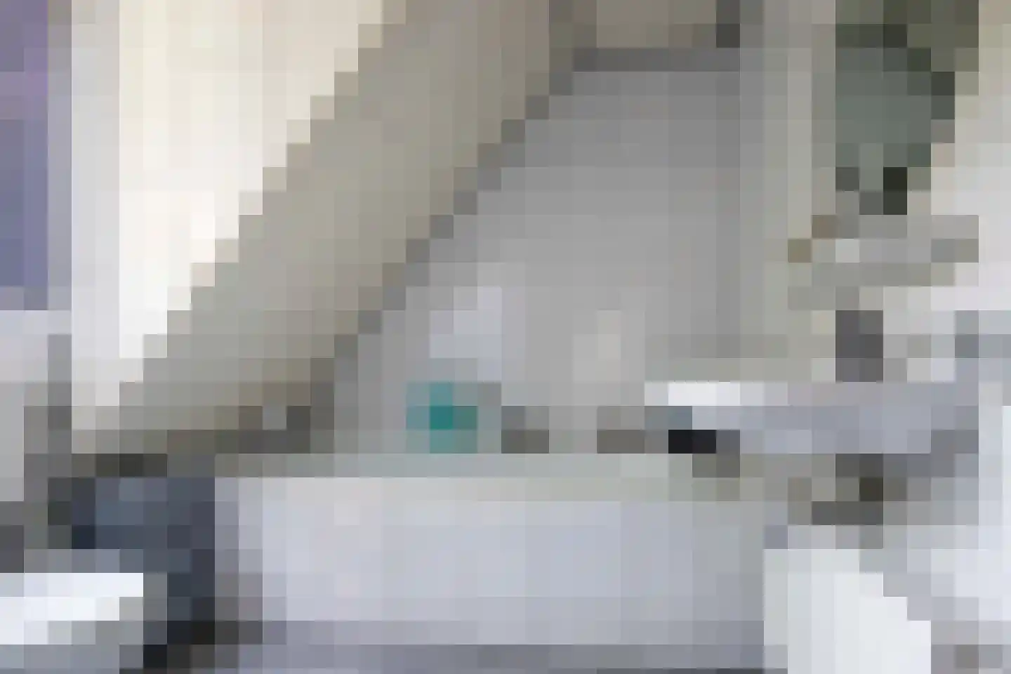 Drostenbos 3 Vollenhove thumbnail 38