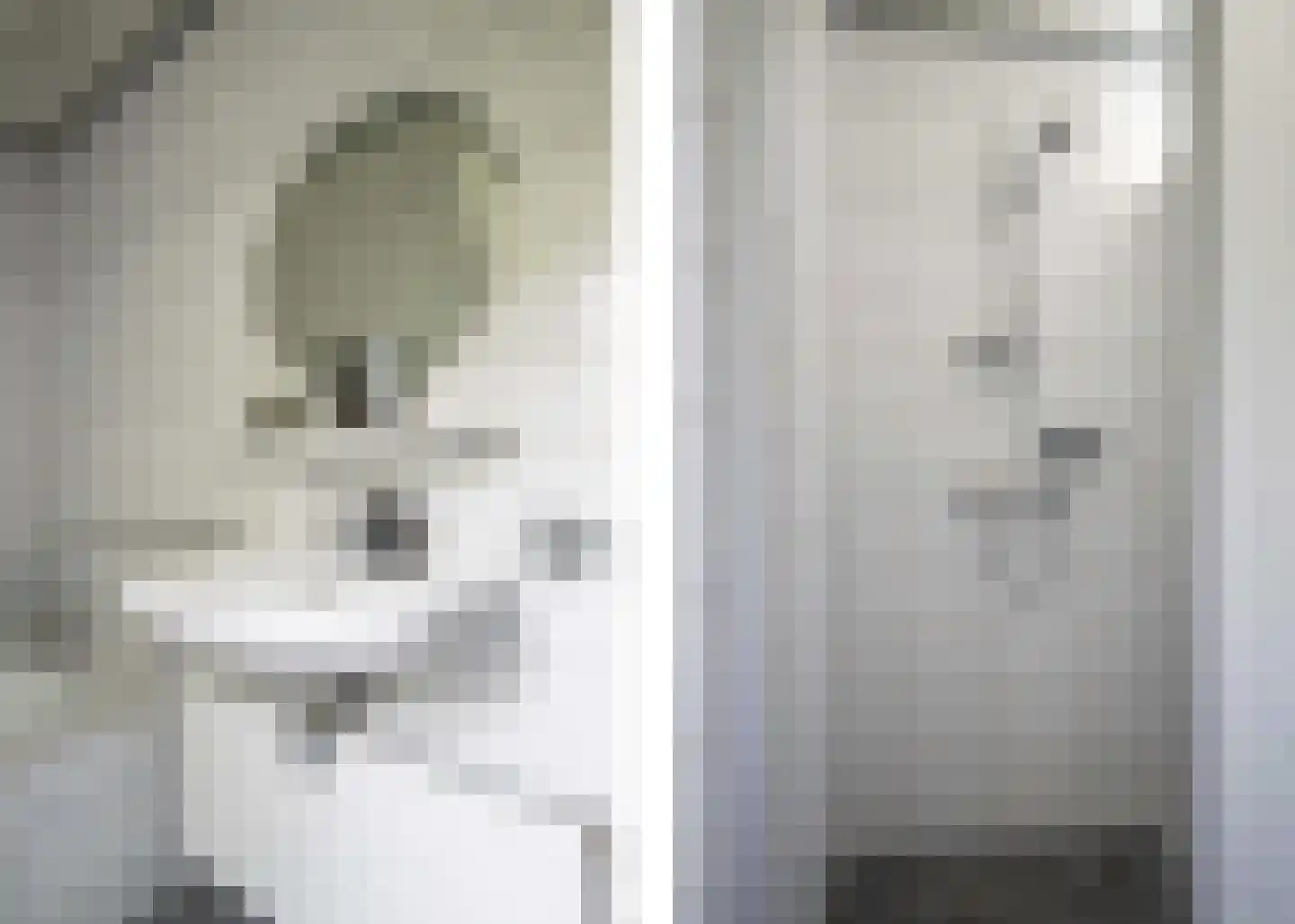 Drostenbos 3 Vollenhove thumbnail 39