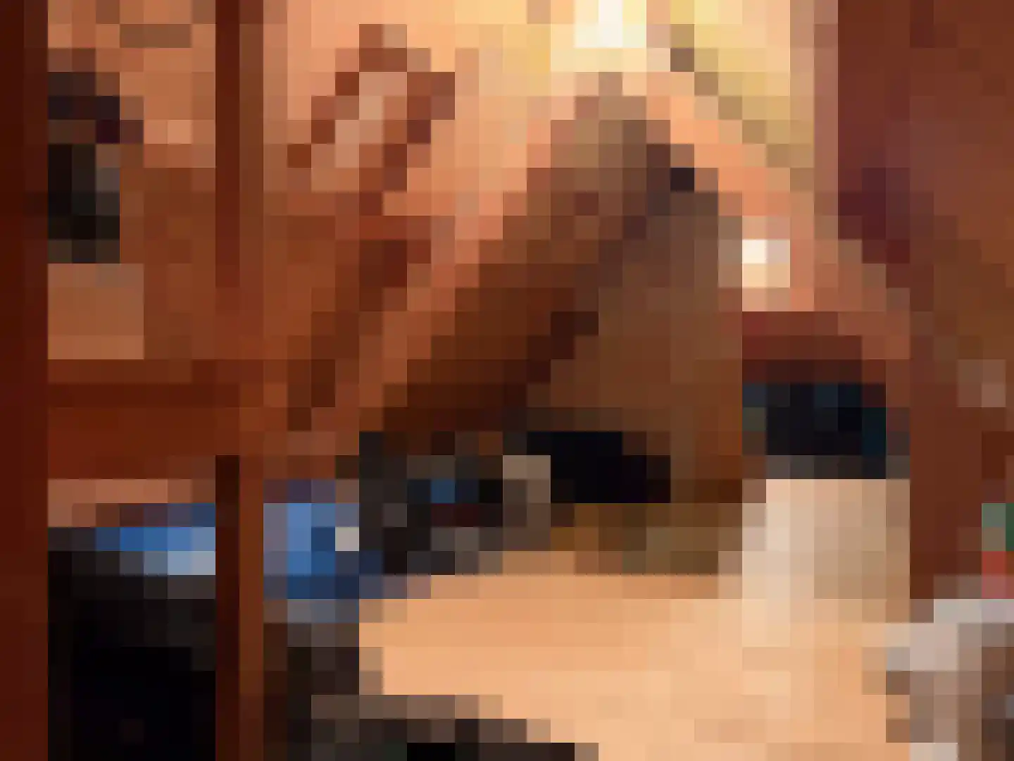 Drostenbos 3 Vollenhove thumbnail 41