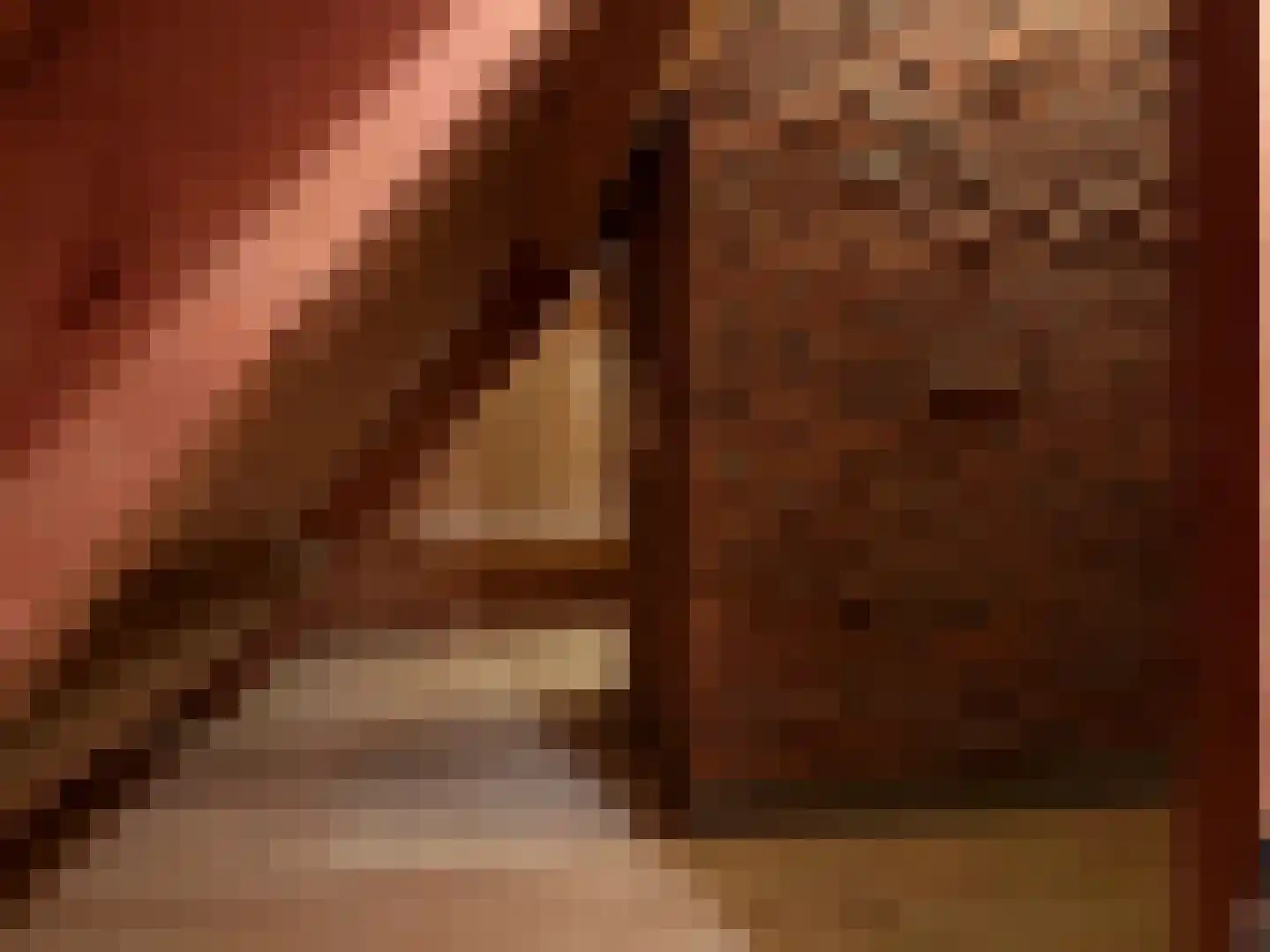 Drostenbos 3 Vollenhove thumbnail 42