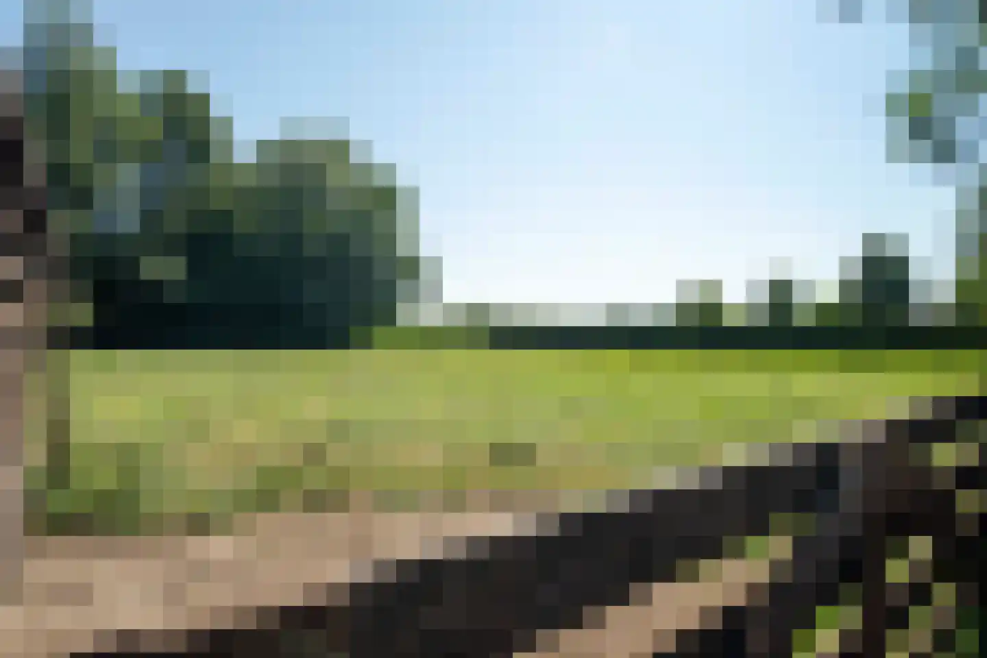 Drostenbos 3 Vollenhove thumbnail 47